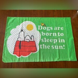 RARE 1960s VINTAGE Snoopy & Woodstock Peanuts CHARLIE BROWN Pillowcase!